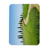 トスカニーにヒノキの木があるファームヴィラ マグネット (縦)