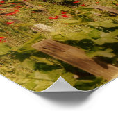 トスカンドリームプリント ポスター (角)