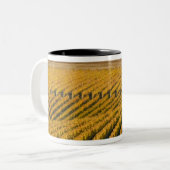 トスカンルッキングブラッククルミイン ツートーンマグカップ (正面左)