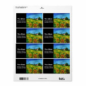 トスカーナのひまわりと田舎 ラベル (フルシート)