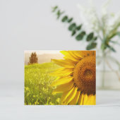 トスカーナのひまわり ポストカード (スタンド正面)