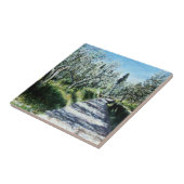 トスカーナのオリーブの木 タイル (側面)