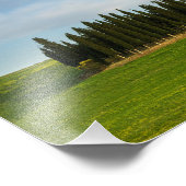 トスカーナのヒノキの写真プリント フォトプリント (角)