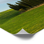 トスカーナのヒノキの垂直ポスター ポスター (角)