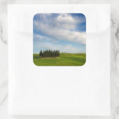 トスカーナのヒノキの木 スクエアシール (バッグ)