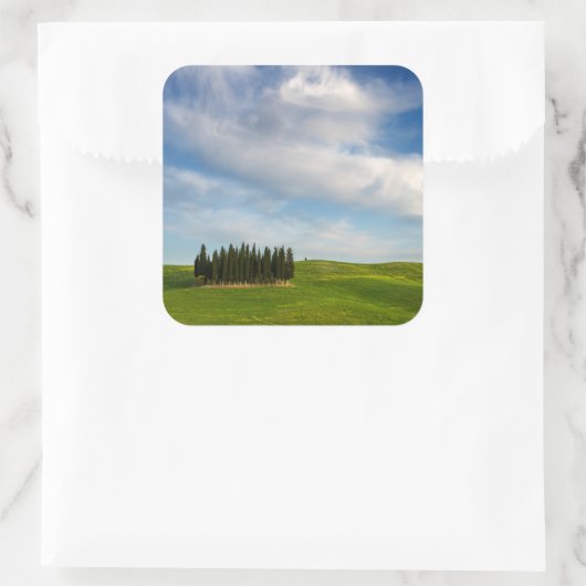 トスカーナのヒノキの木 スクエアシール (バッグ)