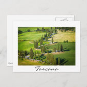 トスカーナのヒノキの線で覆われた道 ポストカード (正面/裏面)