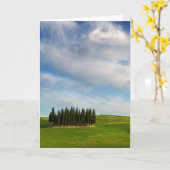 トスカーナのヒノキの縦書きグリーティングカード カード (黄色い花)