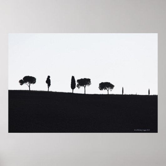 トスカーナの典型的な木 ポスター (正面)