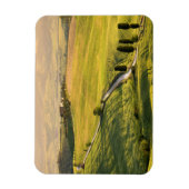 トスカーナの景観長方形マグネットの白い道路 マグネット (縦)