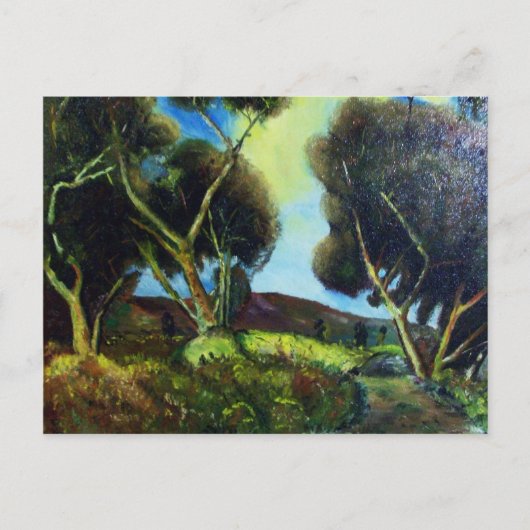 トスカーナの松果樹 ポストカード (正面)