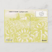 トスカーナの植物/畑，ケシとヒマワリ ポストカード (裏面)