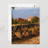 トスカーナの秋の風景 ポストカード (正面/裏面)
