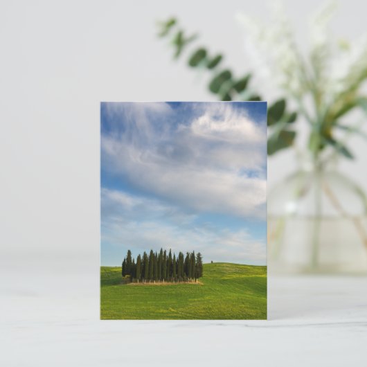 トスカーナの縦葉書のヒノキの木 ポストカード (スタンド正面)