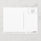 トスカーナの葉書を持つヒノキの木と丘文字 ポストカード (裏面)