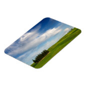 トスカーナの長方形の磁石のヒノキの木 マグネット (左側)