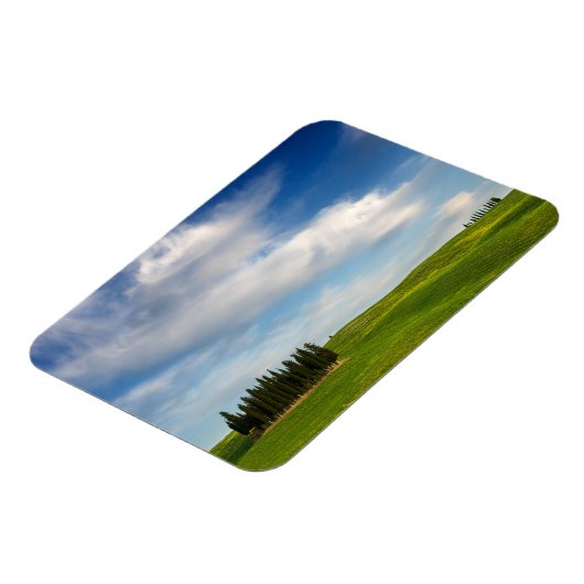 トスカーナの長方形の磁石のヒノキの木 マグネット (左側)