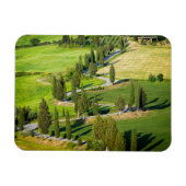 トスカーナの長方形マグネットにサイプレスの裏地の道路 マグネット (横)