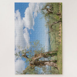 トスカーナの風景に古いオリーブの木 ジグソーパズル