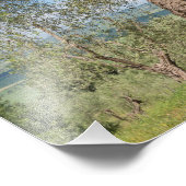 トスカーナの風景に古いオリーブの木 フォトプリント            (角)