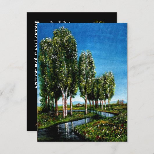 トスカーナの風景に立つ白樺の木 インビテーションポストカード (正面/裏面)