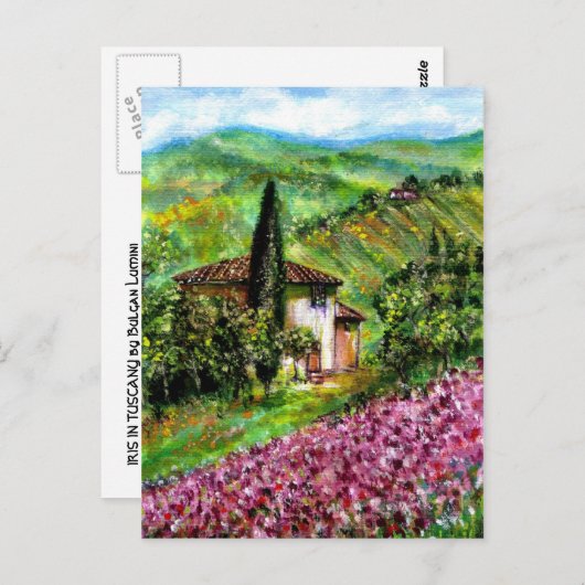 トスカーナの風景の中のアイリス ポストカード (正面/裏面)