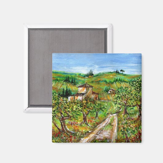 トスカーナの風景の緑の丘とオリーブの木 マグネット (正面/裏面)