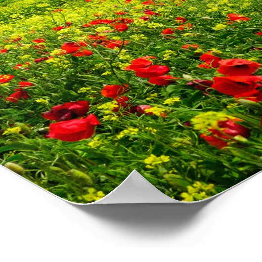 トスカーナの風景ポスターのパノラマ ポスター (角)