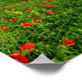 トスカーナの風景ポスターのパノラマ ポスター (角)