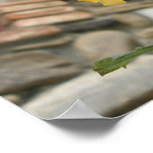 トスカーナの黄色いバラ。 ポスター (角)