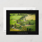 トスカーナの黒い葉書のヒノキの曲がった道 ポストカード (正面/裏面)