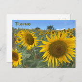 トスカーナひまわり葉書 ポストカード (正面/裏面)