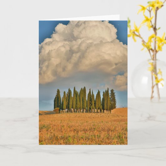 トスカーナイトイプレスの田舎の木 カード (黄色い花)