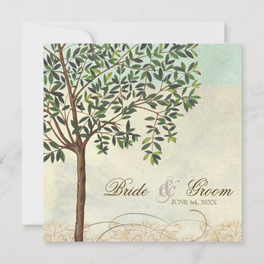 トスカーナオリーブの木の渦巻き – 結婚式招待状 招待状 (裏面)