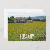 トスカーナヒルサイドサンフラワーフィールドポストカード ポストカード (正面/裏面)