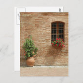 トスカーナポット植物 ポストカード (正面/裏面)