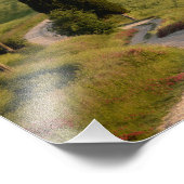 トスカーナ州のテラピルへの道の写真プリント フォトプリント (角)