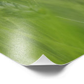 トスカーナ州の小麦作物の間の赤いケシの花 フォトプリント            (角)