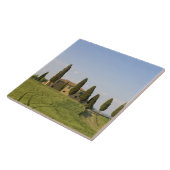 トスカーナ州シエナ州バルドルシア、ピエンザ タイル (側面)