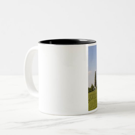 トスカーナ州シエナ州バルドルシア、ピエンザ ツートーンマグカップ (正面左)