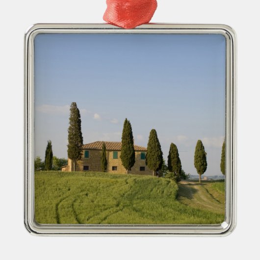 トスカーナ州シエナ州バルドルシア、ピエンザ メタルオーナメント (正面)