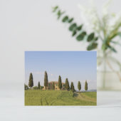 トスカーナ州、シエナ州、ピエンツァ、ヴァル・ドルシア、 ポストカード (スタンド正面)