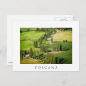 トスカーナ白ポストカードのヒノキ巻き道 ポストカード (正面/裏面)