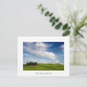 トスカーナ白葉書のヒノキの木 ポストカード (スタンド正面)