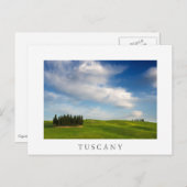 トスカーナ白葉書のヒノキの木 ポストカード (正面/裏面)