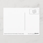 トスカーナ葉書にヒノキの並んだ曲がりくねった道 ポストカード (裏面)