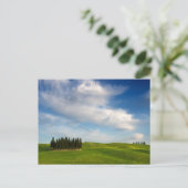 トスカーナ葉書のヒノキの木 ポストカード (スタンド正面)