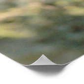 トスカーナ葡萄 ポスター (角)