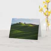 トスカーナ転が州アッシアーノの近くの丘 カード (黄色い花)
