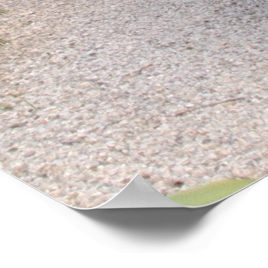 トスカーナ通り ポスター (角)